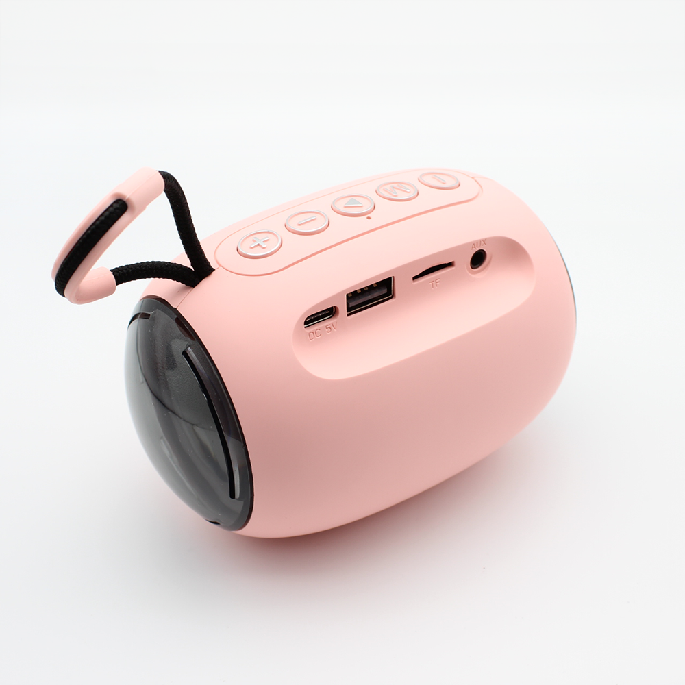 Portable mini Bluetooth speaker